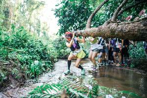 BIB: 
                            <button type="button" onclick="openModal(25473554)" class="btn btn-primary btn-sm float-right btn-popup" data-toggle="modal" data-target=".modal-high-quality">
                        <i class="fas fa-shopping-cart"></i> Add to Cart
                    </button>
                                            <button type="button" onclick="isThisMe(25473554, true)" class="btn btn-success btn-sm float-right btn-popup btn-isme hidden" data-toggle="tooltip" data-placement="bottom" title="นี่คือรูปของคุณใช่ไหม คลิกที่นี่เพื่อเอาเข้าอัลบั้ม">
                        <i class="fas fa-plus"></i> Add to album
                    </button>
                    <button type="button" onclick="isThisMe(25473554, false)" class="btn btn-warning btn-sm float-right btn-popup btn-isnotme hidden">
                        <i class="fas fa-ban"></i> Remove from album
                    </button>